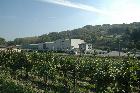 Araldica vini-Castel Boglione-AT